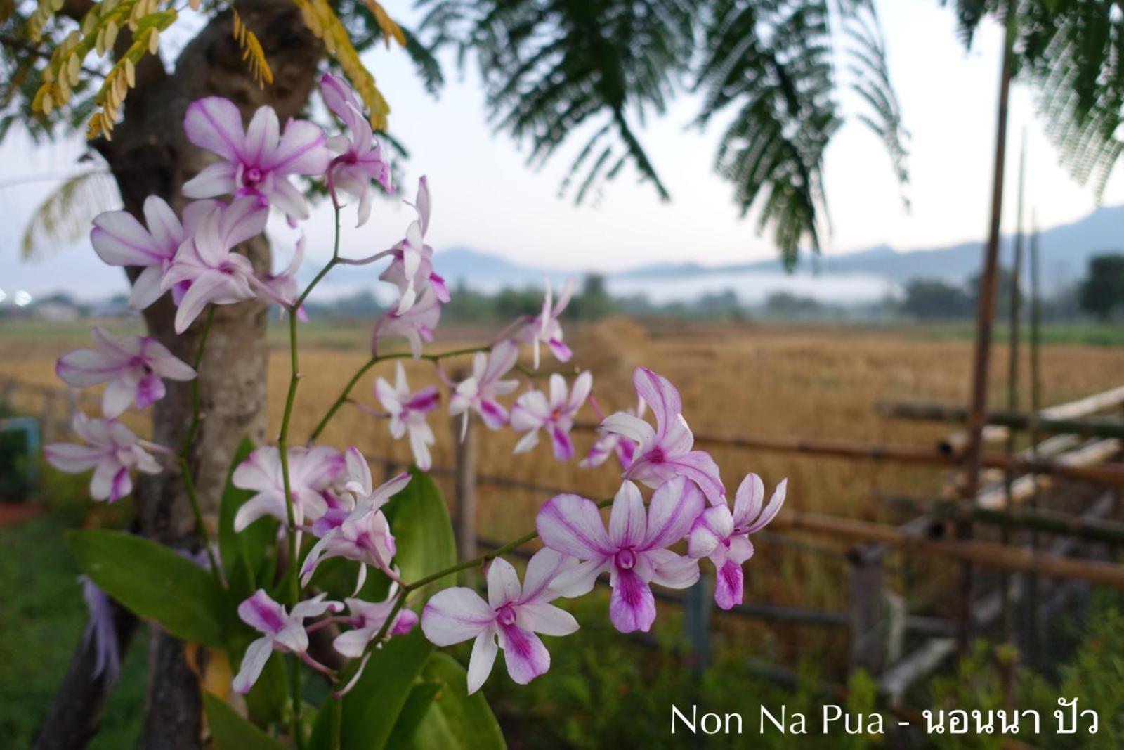 Non Na Pua - นอนนา ปัว Hotel Exterior photo